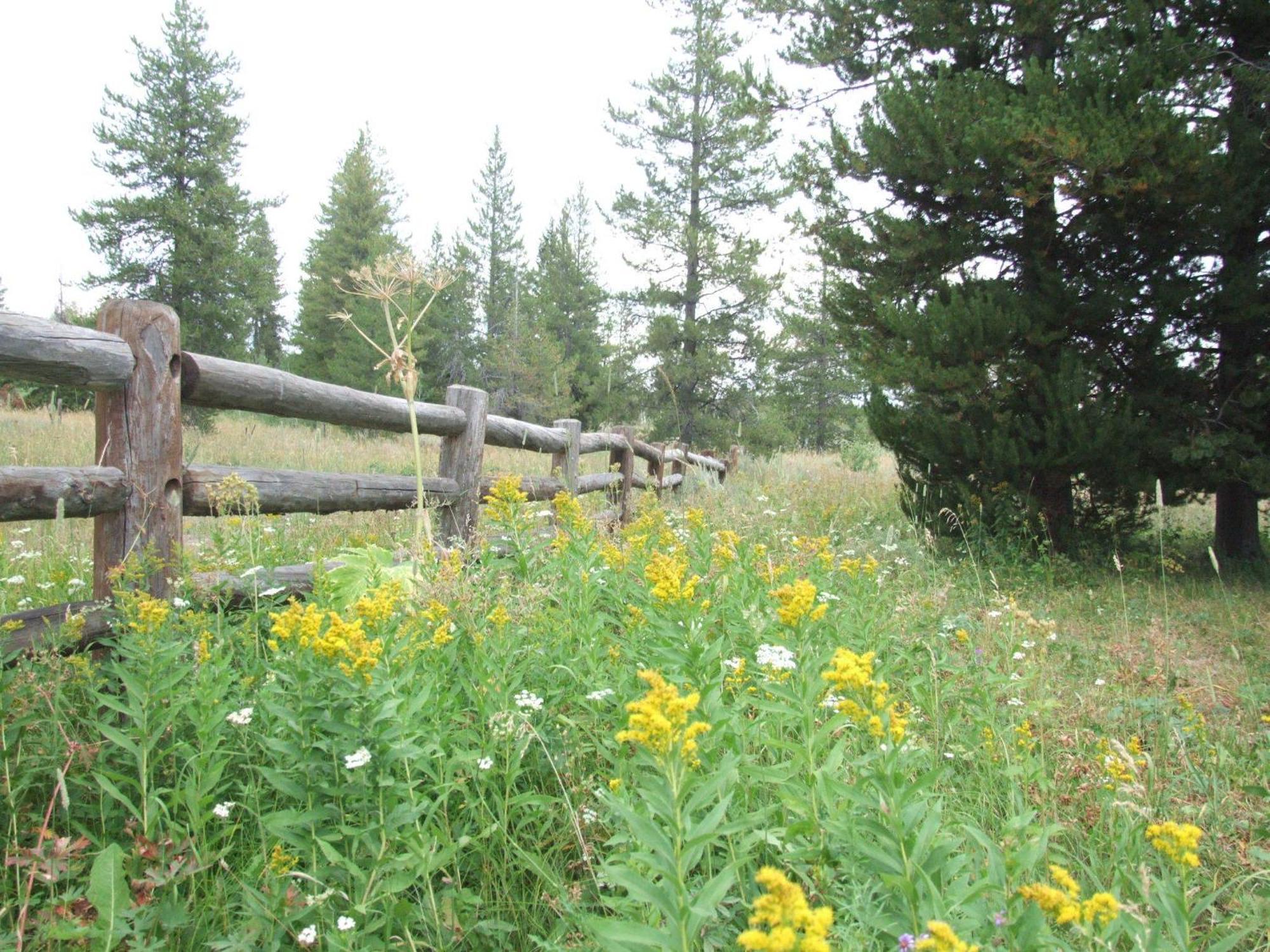 Eagle Ridge Ranch Villa Island Park Eksteriør bilde